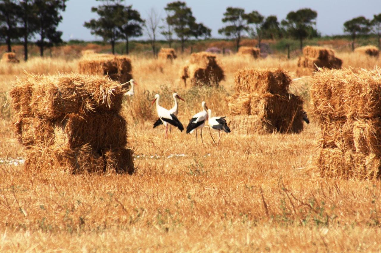 Herdade Dos Salgados Do Fialho District de District de Faro Extérieur photo
