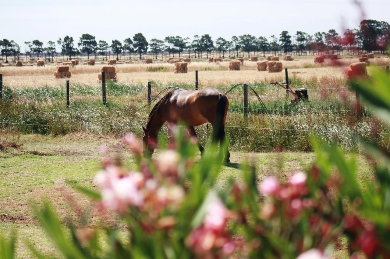 Herdade Dos Salgados Do Fialho District de District de Faro Extérieur photo