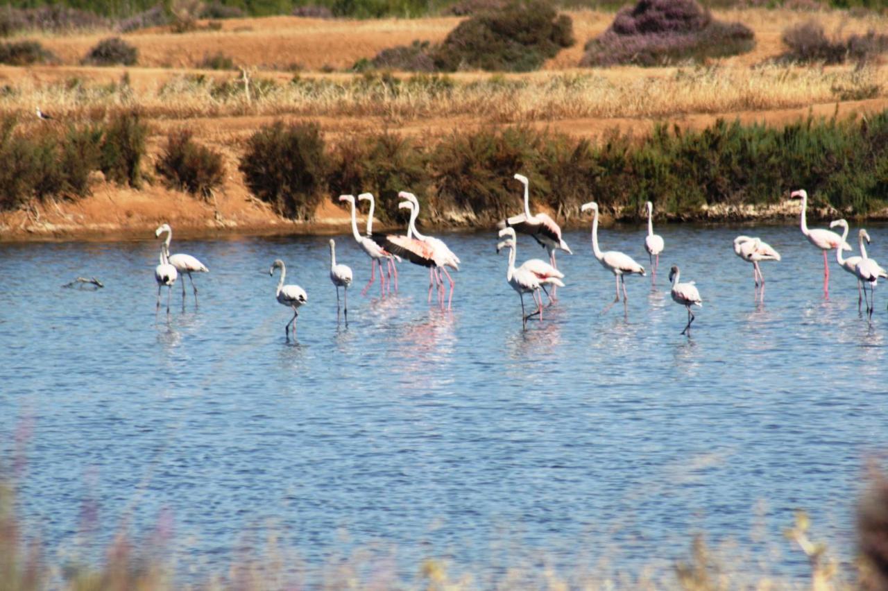 Herdade Dos Salgados Do Fialho District de District de Faro Extérieur photo