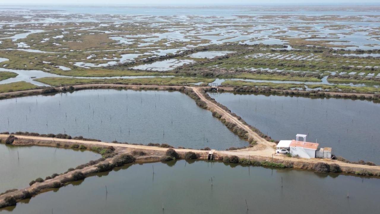 Herdade Dos Salgados Do Fialho District de District de Faro Extérieur photo