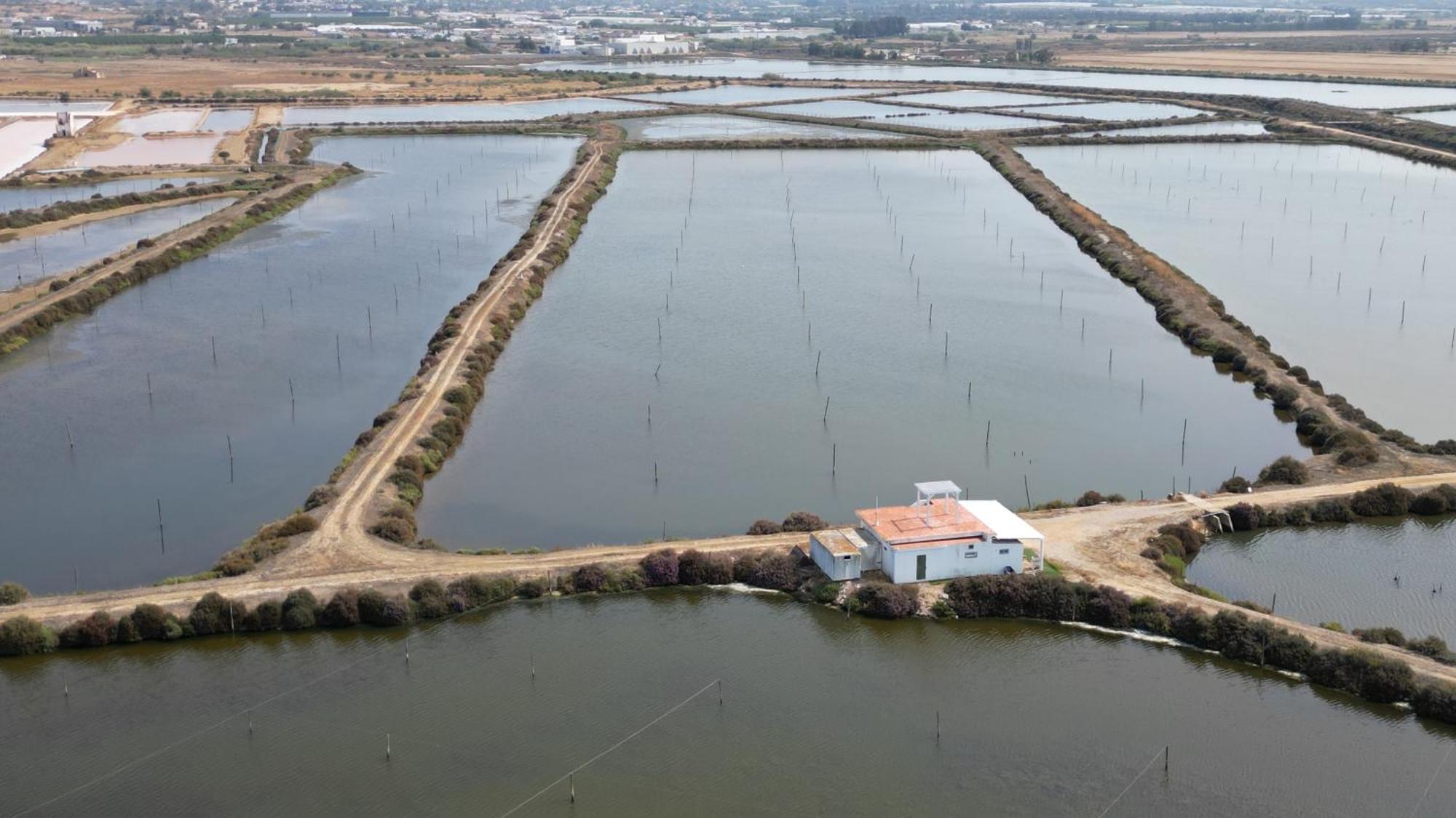 Herdade Dos Salgados Do Fialho District de District de Faro Extérieur photo