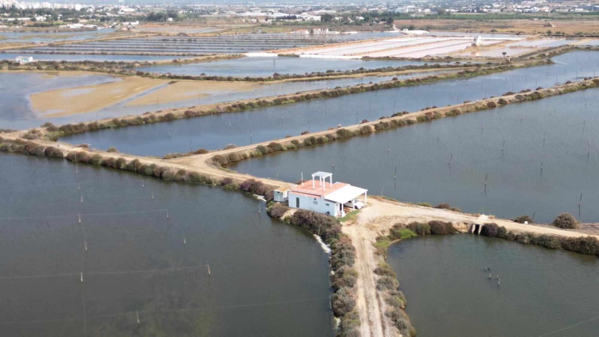 Herdade Dos Salgados Do Fialho District de District de Faro Extérieur photo