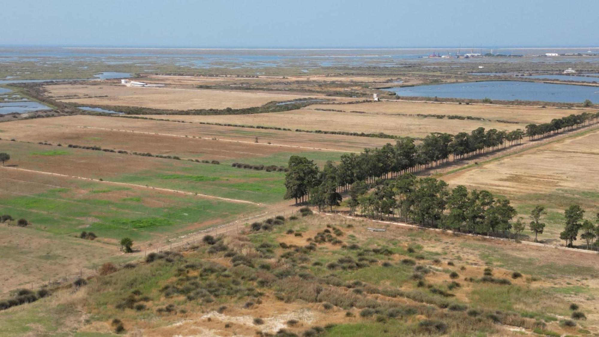 Herdade Dos Salgados Do Fialho District de District de Faro Extérieur photo