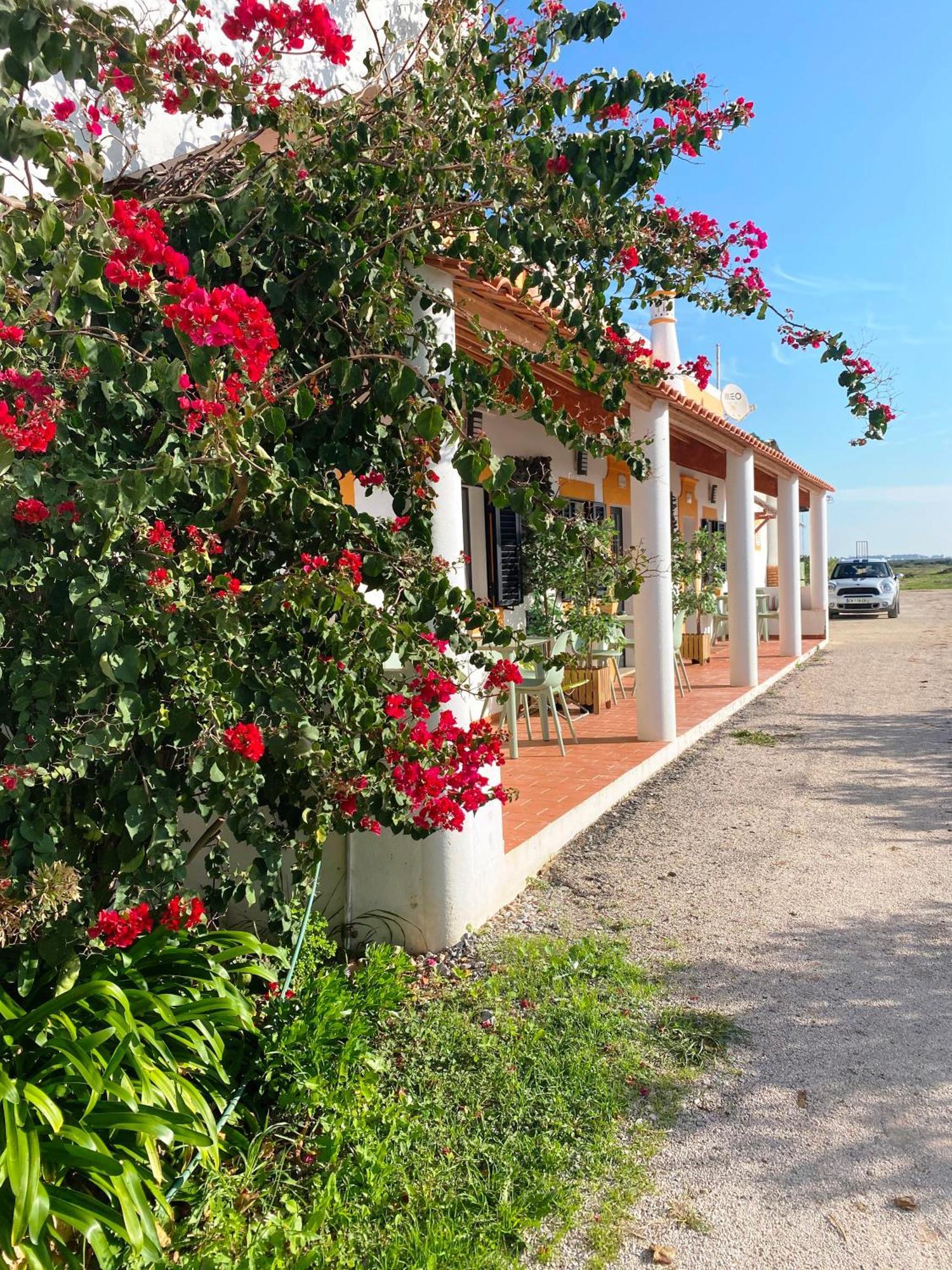 Herdade Dos Salgados Do Fialho District de District de Faro Extérieur photo
